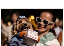 Un perrito disfrazado de repartidor de paquetes junto a su tutora.