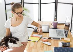 Día Mundial de Llevar a tu Mascota al Trabajo: beneficios para la salud mental y el ambiente laboral