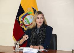 Sade Fritschi, ministra de Ambiente, habla sobre proyecto inmobiliario en Olón.