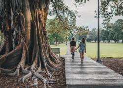 En el marco del Día Internacional de los Bosques se promueven distintas estrategias para la conservación de áreas verdes.