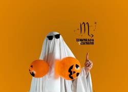 Halloween es excelente para traer nuevas energías inesperadas