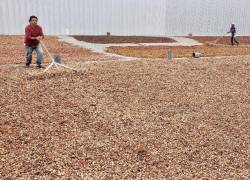 Los productores reclaman a las autoridades la implementación urgente de normativas.