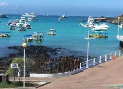 El 39 % de los sitios monitoreados de la isla Santa Cruz mostraron contaminación.