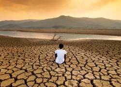El 2024 fue el año más cálido registrado de la historia.