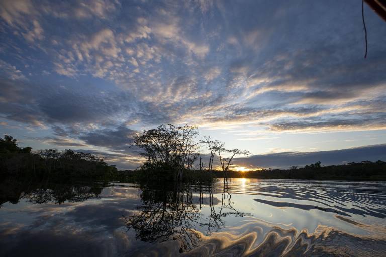 $!Todo está interconectado. En Ecuador, cambios inusuales en temperaturas climáticas que llevaron, por ejemplo, al estiaje que propició parcialmente el último racionamiento de energía eléctrica, han sido eventos en los que se ha apreciado cómo el impacto de las actividades antrópicas en la selva acaban afectando no solo a los animales, sino a los mismos humanos.