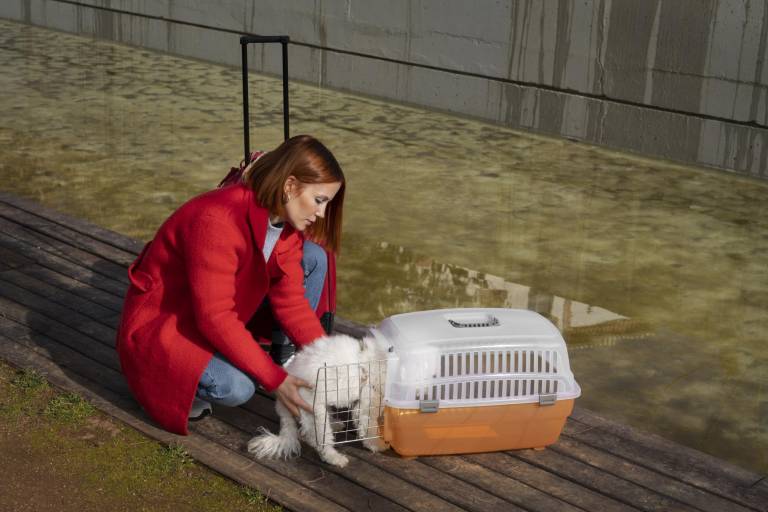 $!Señora rescatando un gato de la calle por las lluvias.