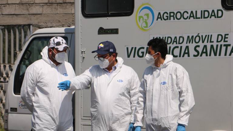 Detectan y contienen nuevo caso de influenza aviar en Cotopaxi