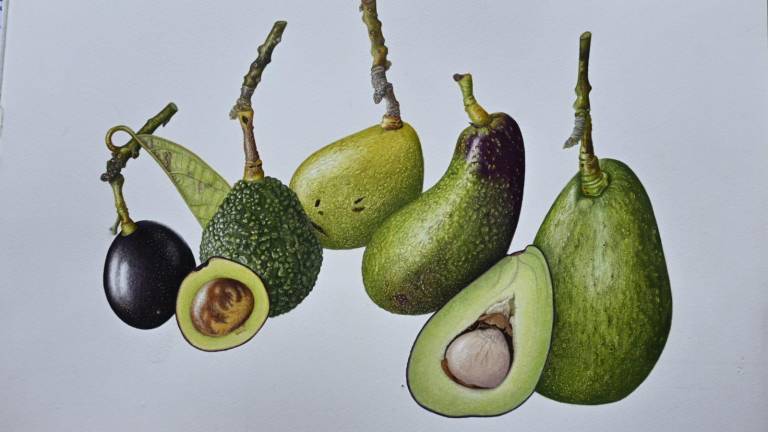 Obra de la artista ecuatoriana Jenny Ordóñez Barragan, que forma parte de la exposición.