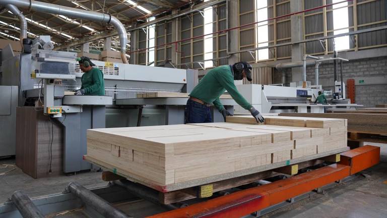 Madera ecuatoriana tiene gran potencial de exportación
