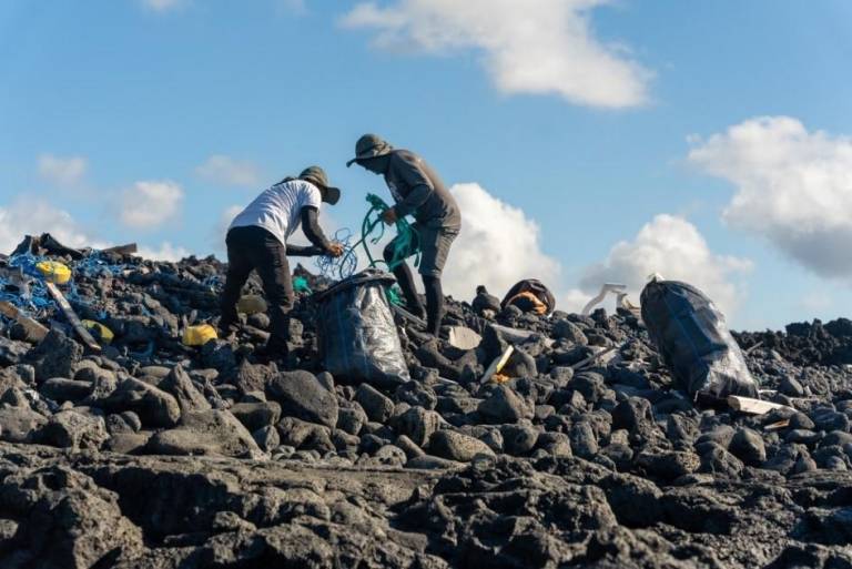 $!Las corrientes marinas que confluyen y acarrean basura hacia la Reserva Marina de Galápagos.