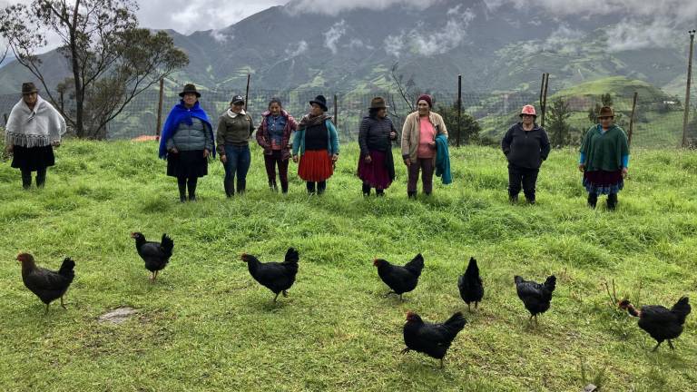En total son 73 beneficiarias de seis organizaciones de mujeres de comunidades rurales como Zhud, Ingapirca, Honorato Vásquez y Gualleturo.