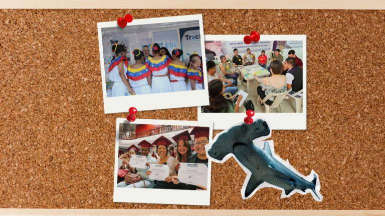 Incertidumbre por suspensión de fondos de Estados Unidos; cuatro proyectos revelan el impacto en Ecuador